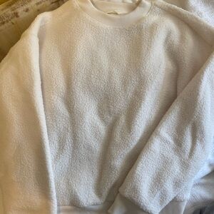 Teddy everlane crewneck